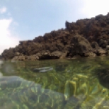 Snorkeling at the edge of the lava flow